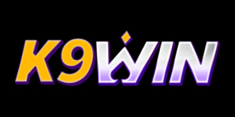 K9win logosu